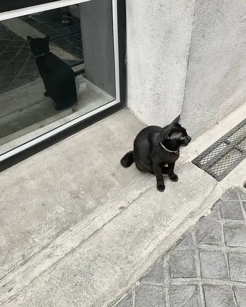 Doğa ve şehir manzarası 