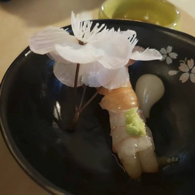 Doğa ve şehir manzarası 