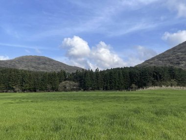 Doğa ve şehir manzarası 