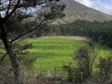 Doğa ve şehir manzarası 