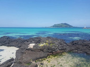 Doğa ve şehir manzarası 