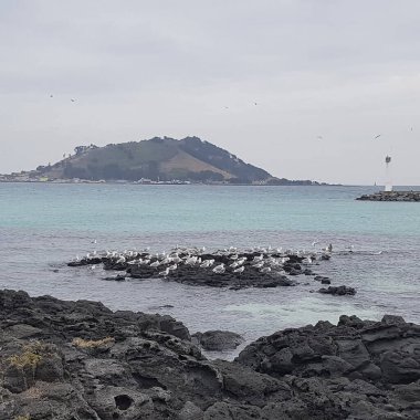 Doğa ve şehir manzarası 