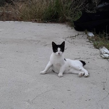 Doğa ve şehir manzarası 