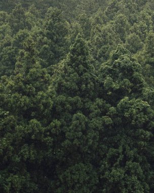 Doğa ve şehir manzarası 