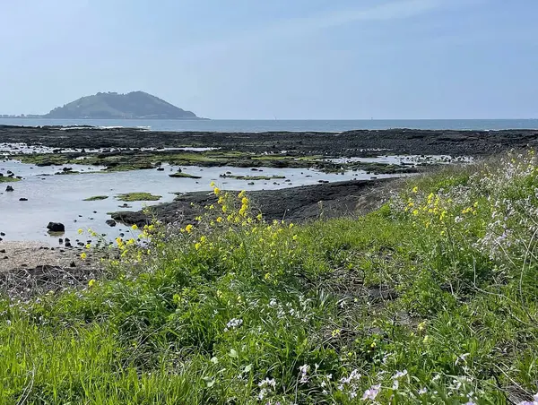Doğa ve şehir manzarası 