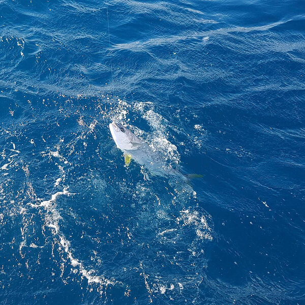 Nature view and city landscape 