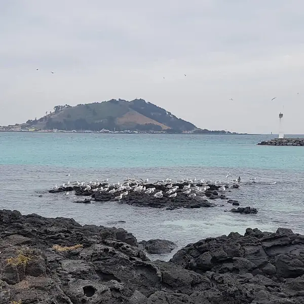 Doğa ve şehir manzarası 