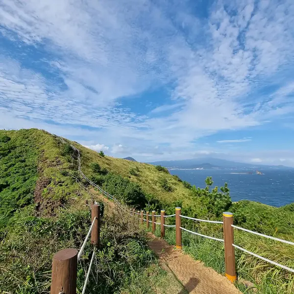 Doğa ve şehir manzarası 