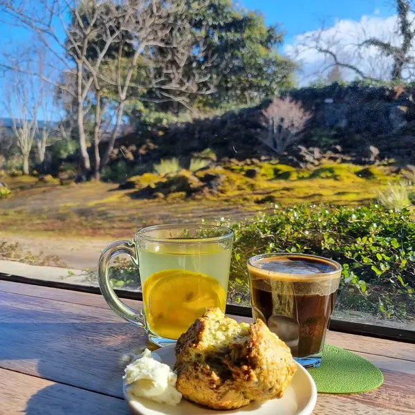 Doğa ve şehir manzarası 