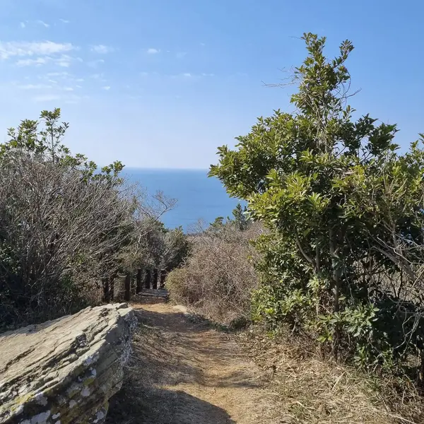 Doğa ve şehir manzarası 