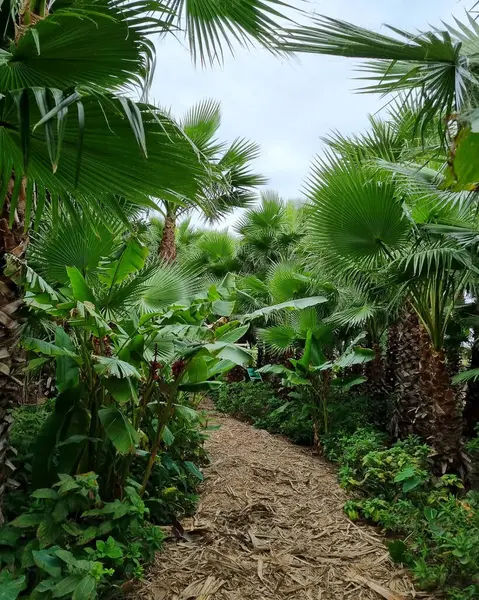 Doğa ve şehir manzarası 