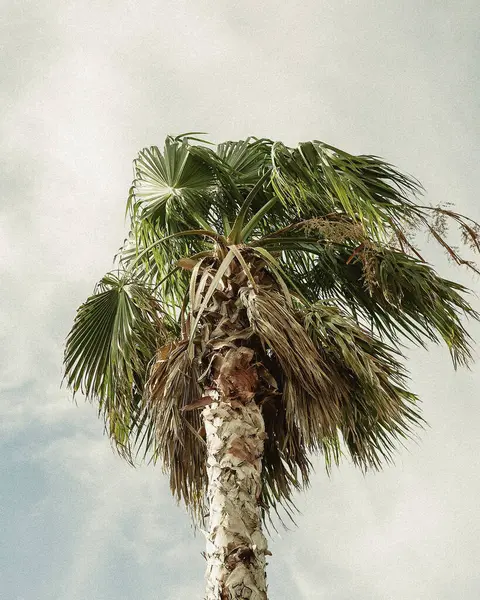 Doğa ve şehir manzarası 