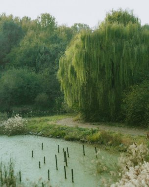 Doğa ve şehir manzarası 