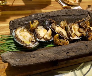 Doğa ve şehir manzarası 