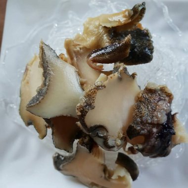 Doğa ve şehir manzarası 