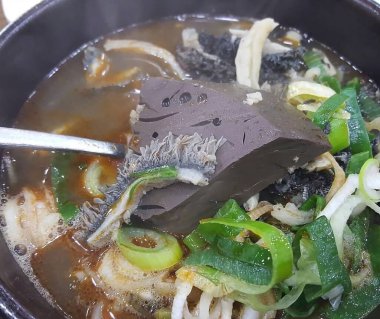 Doğa ve şehir manzarası 