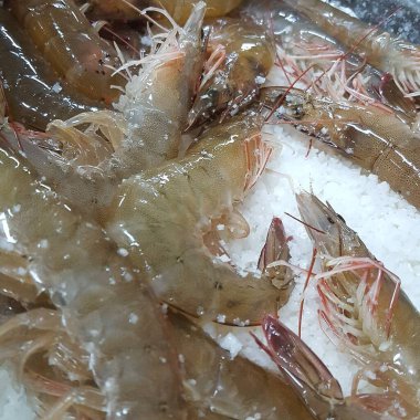 Doğa ve şehir manzarası 