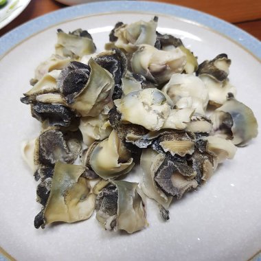 Doğa ve şehir manzarası 