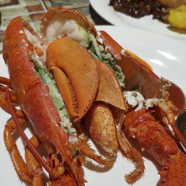 Doğa ve şehir manzarası 