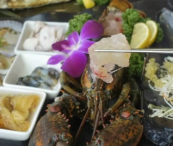 Doğa ve şehir manzarası 