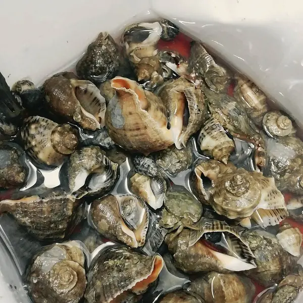 Doğa ve şehir manzarası 