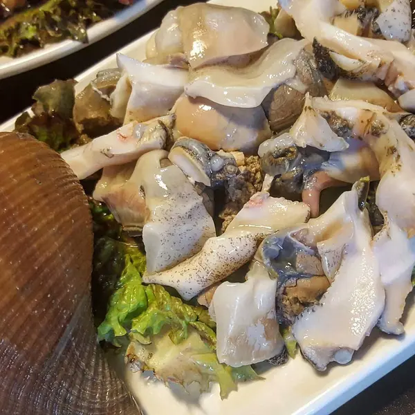 Doğa ve şehir manzarası 