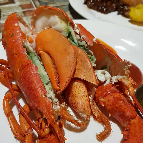 Doğa ve şehir manzarası 