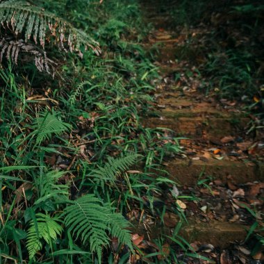 Doğa ve şehir manzarası 
