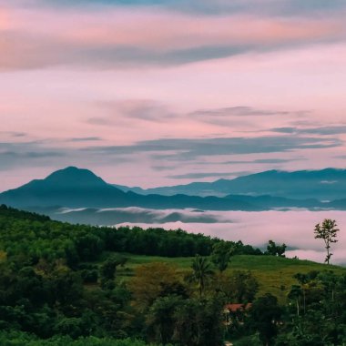 Doğa ve şehir manzarası 