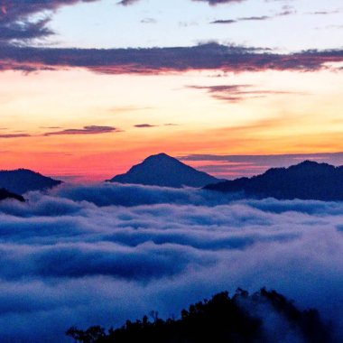 Doğa ve şehir manzarası 