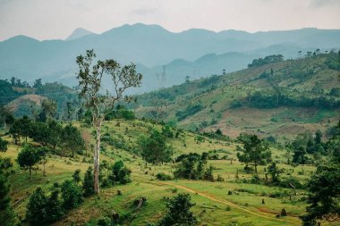 Doğa ve şehir manzarası 