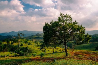 Doğa ve şehir manzarası 