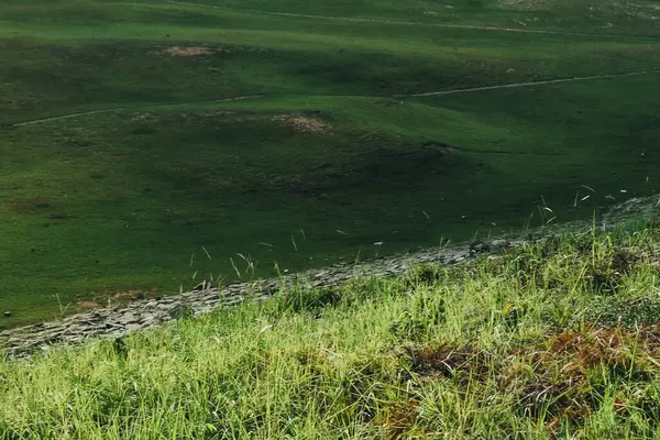 Doğa ve şehir manzarası 