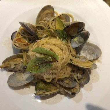 Doğa ve şehir manzarası 