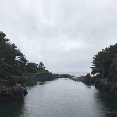 Doğa ve şehir manzarası 