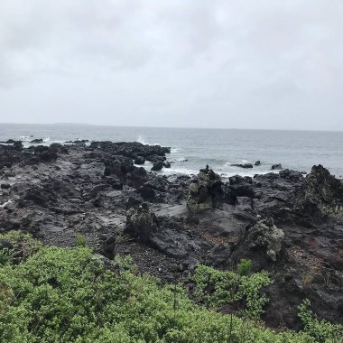 Doğa ve şehir manzarası 