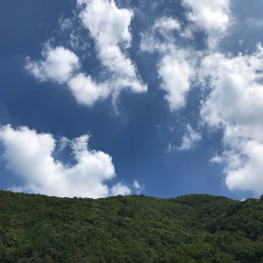 Doğa ve şehir manzarası 