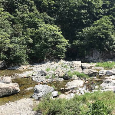 Doğa ve şehir manzarası 