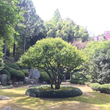 Doğa ve şehir manzarası 