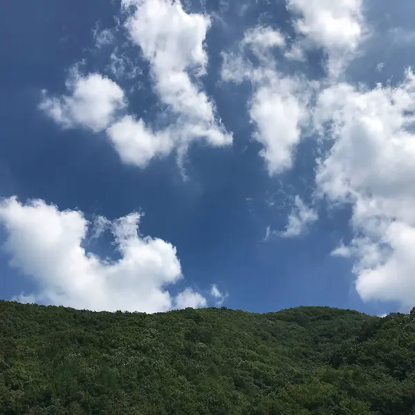 Doğa ve şehir manzarası 