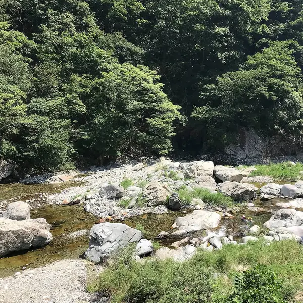 Doğa ve şehir manzarası 