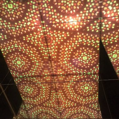 Doğa ve şehir manzarası 