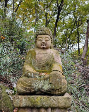 Doğa ve şehir manzarası 