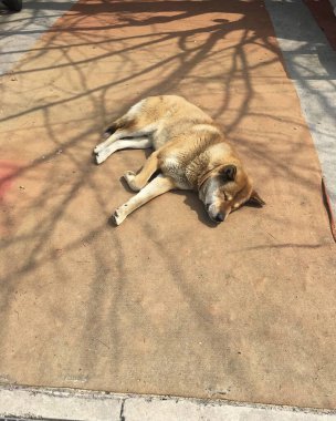 Doğa ve şehir manzarası 