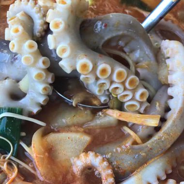 Doğa ve şehir manzarası 