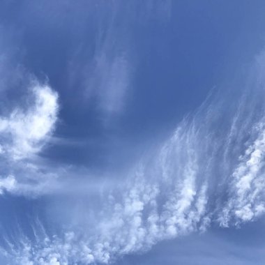 Doğa ve şehir manzarası 