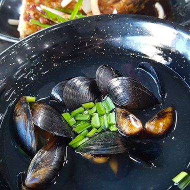 Doğa ve şehir manzarası 