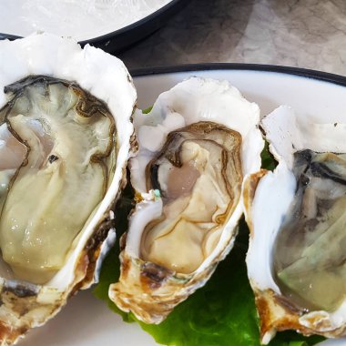 Doğa ve şehir manzarası 