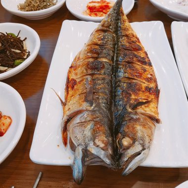 Doğa ve şehir manzarası 