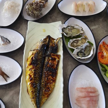 Doğa ve şehir manzarası 